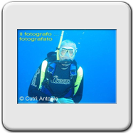Notonecta glauca