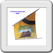 (Geometride - Pieride)
